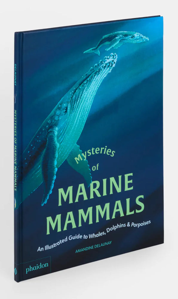Mysteries of Marine Mammals: An Illustrated Guide to Whales, Dolphins, and Porpoises