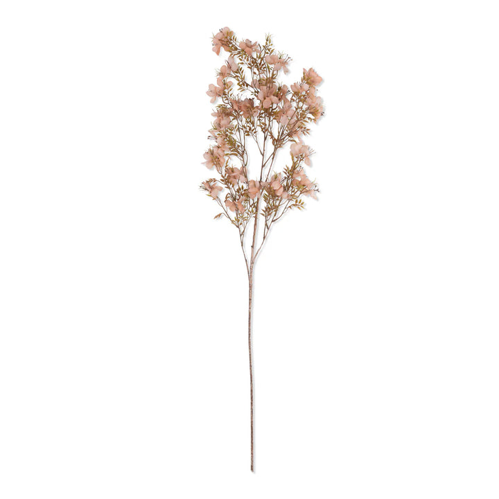 Prunus Blossom Florals