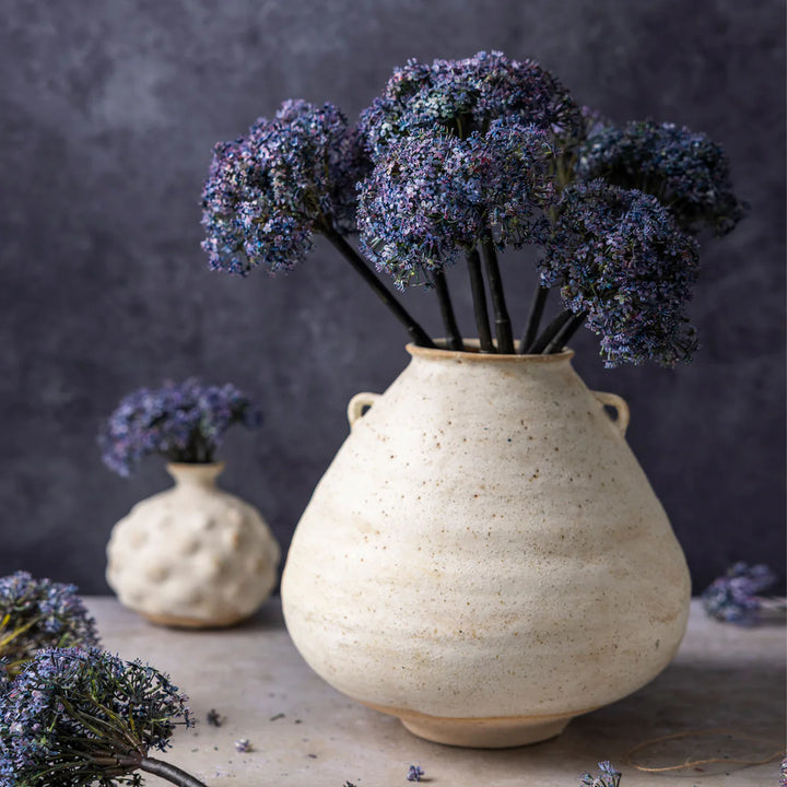 Trachelium Mauve Florals