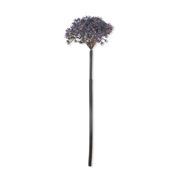 Trachelium Mauve Florals