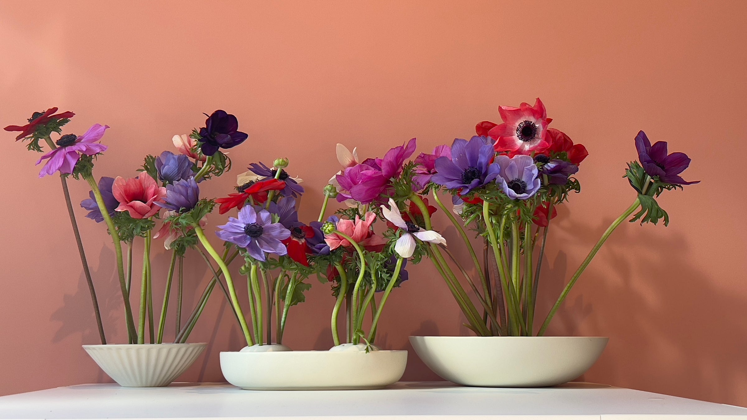 The Floral Society
