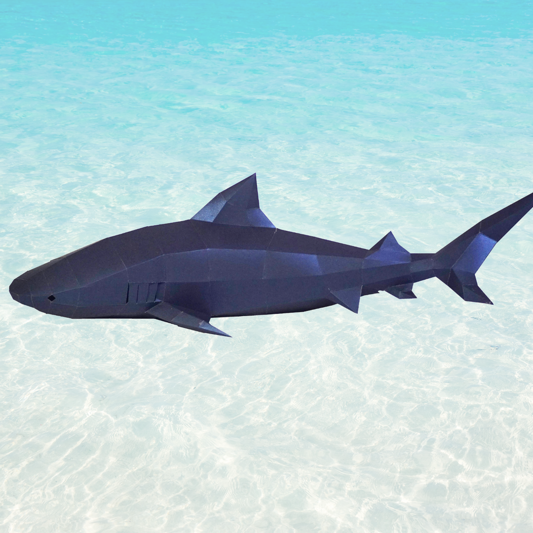 Shark Week