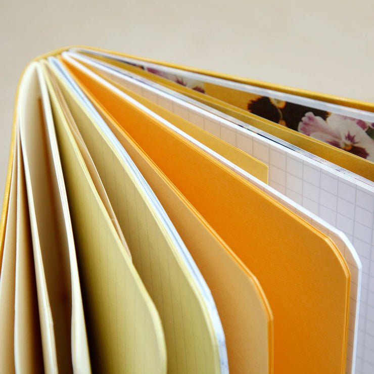 Assorted Paper Notebooks: Large / Contrasting Thread