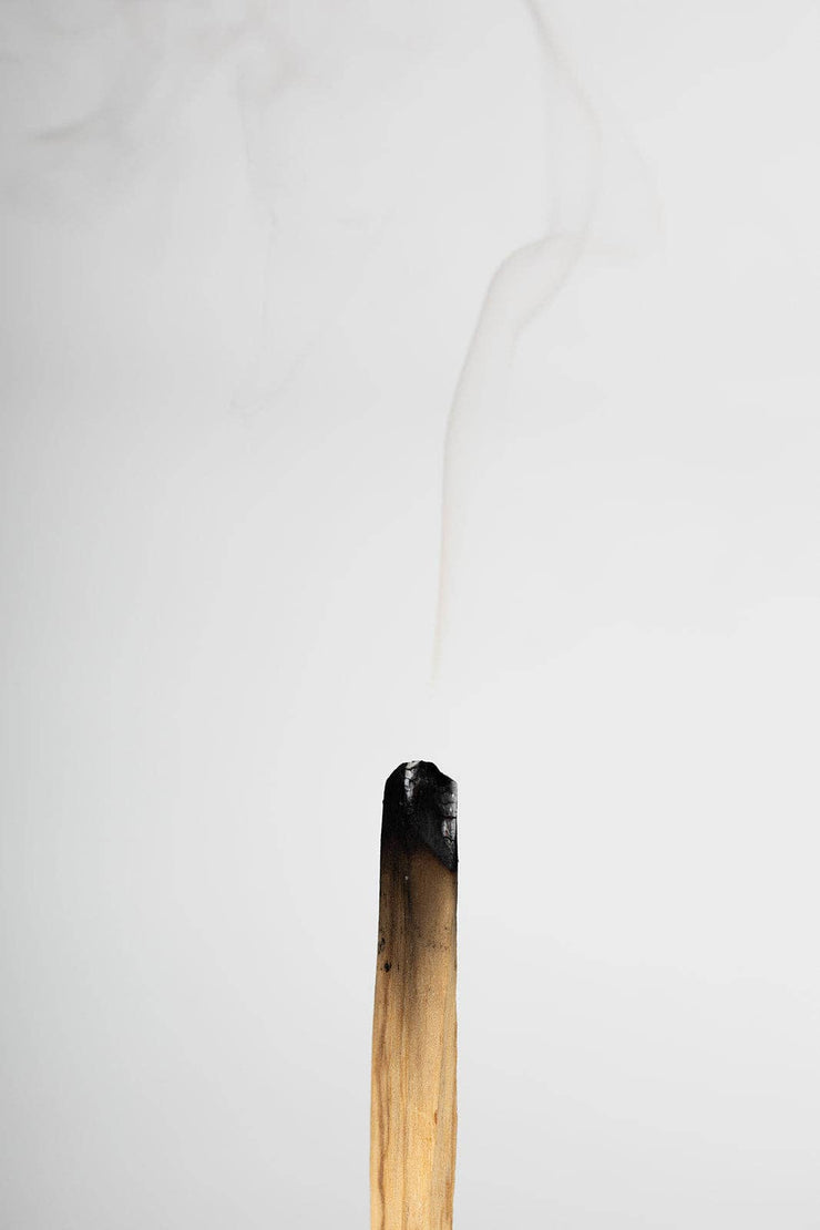 Palo Santo: Grey