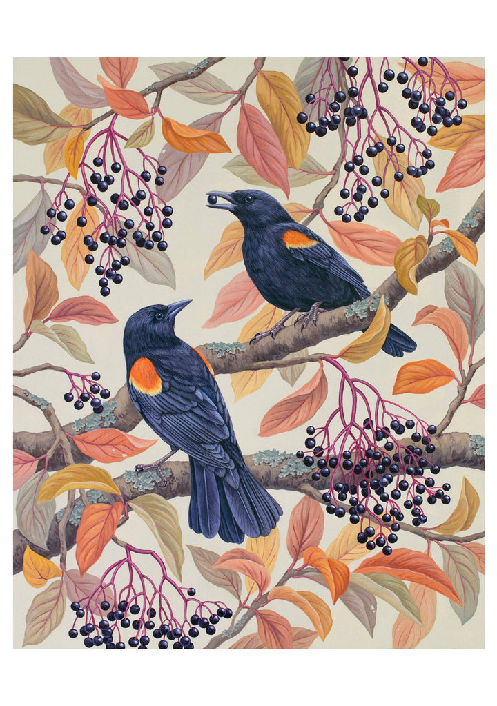 Vasilisa Romanenko: Birds of a Feather Boxed Notecard Assortment