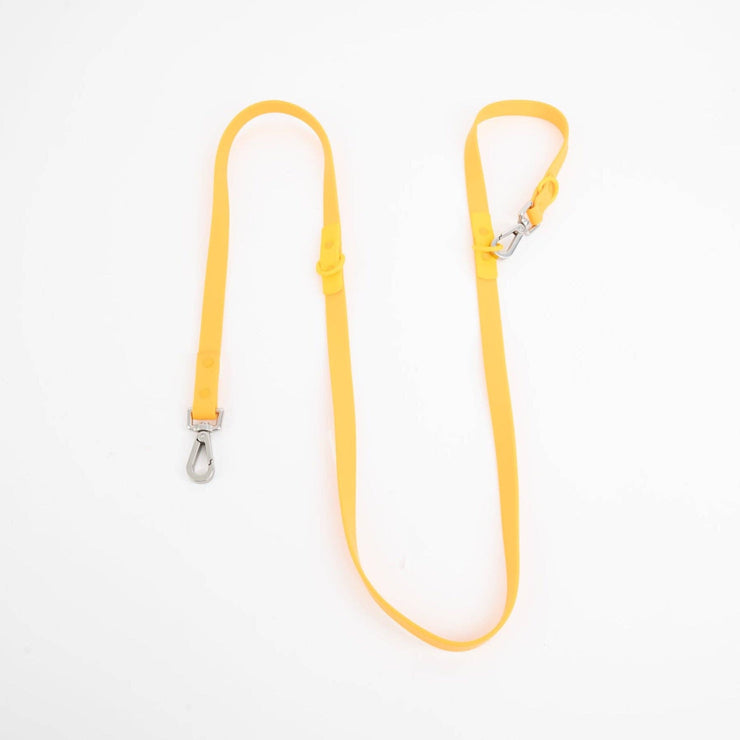 The Fritz Leash: Standard / blue orange