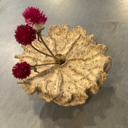 Urchin Speckled Vase