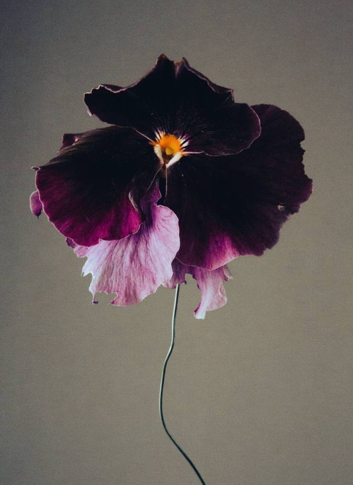 Moody Blooms Candle - SAMPLE