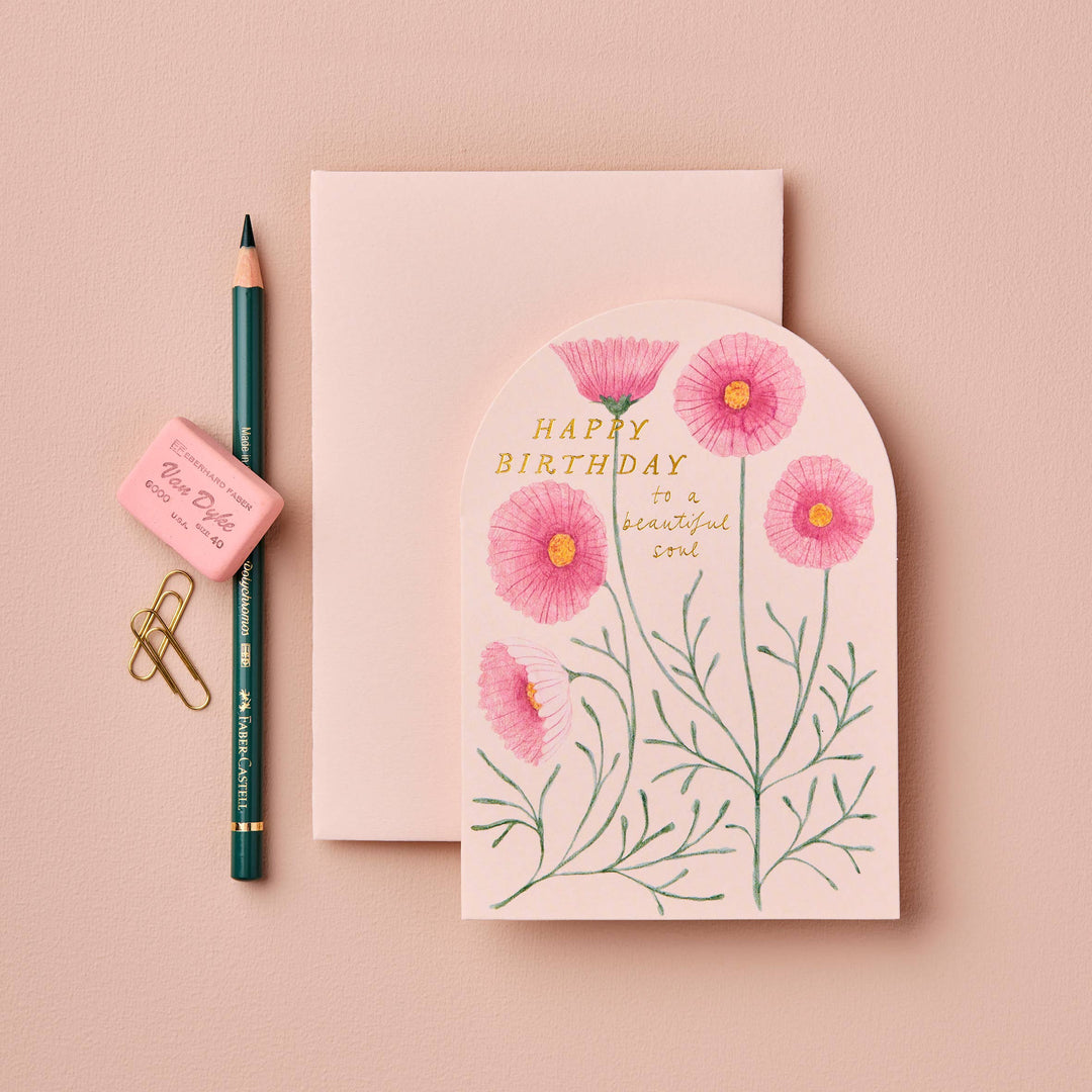 Pink Cosmos &