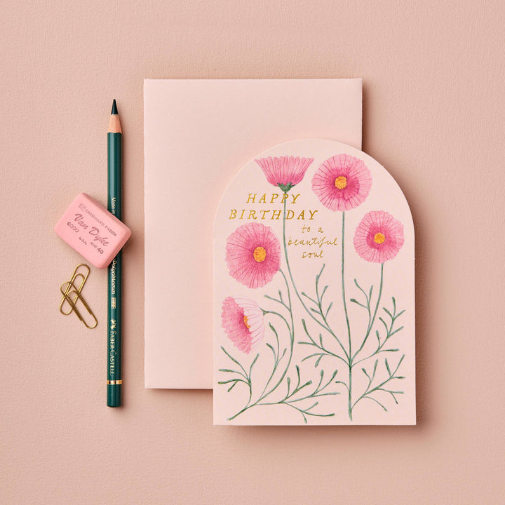 Pink Cosmos &