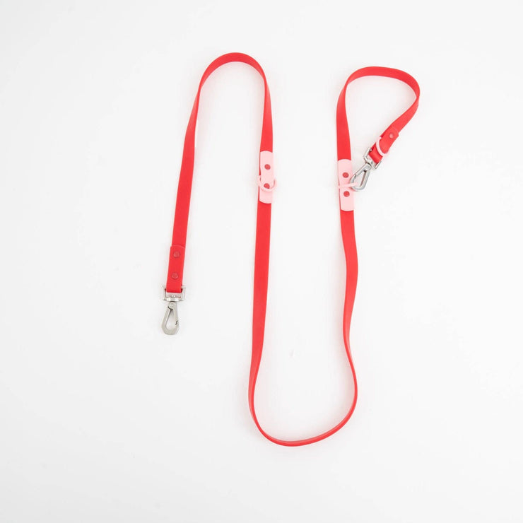 The Fritz Dog Leash | Leash wit Handle | Multi Dog Leash: Pink lemonade / Standard