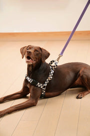 The Fritz Dog Harness | Adjustable, No-Pull & Reversible: Black Creamy / Large