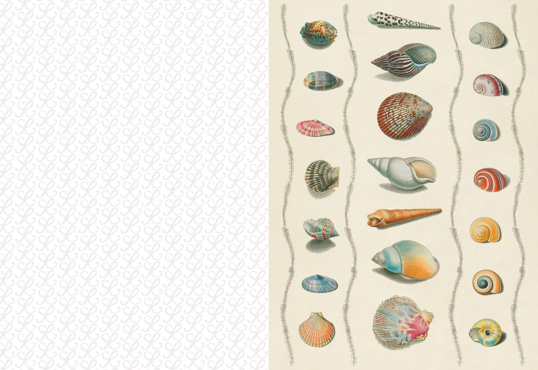 Collage Compendium