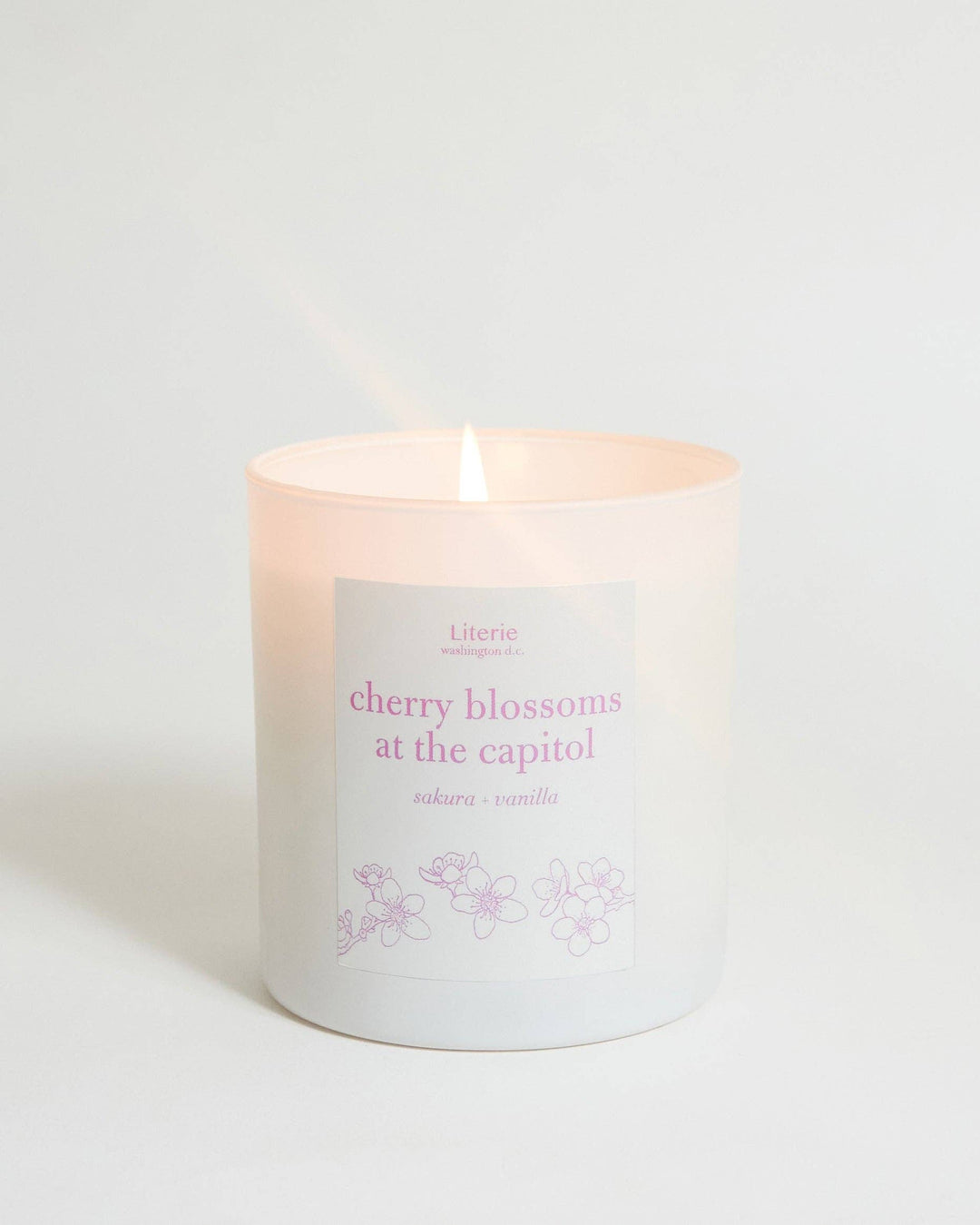 Cherry Blossoms at the Capitol