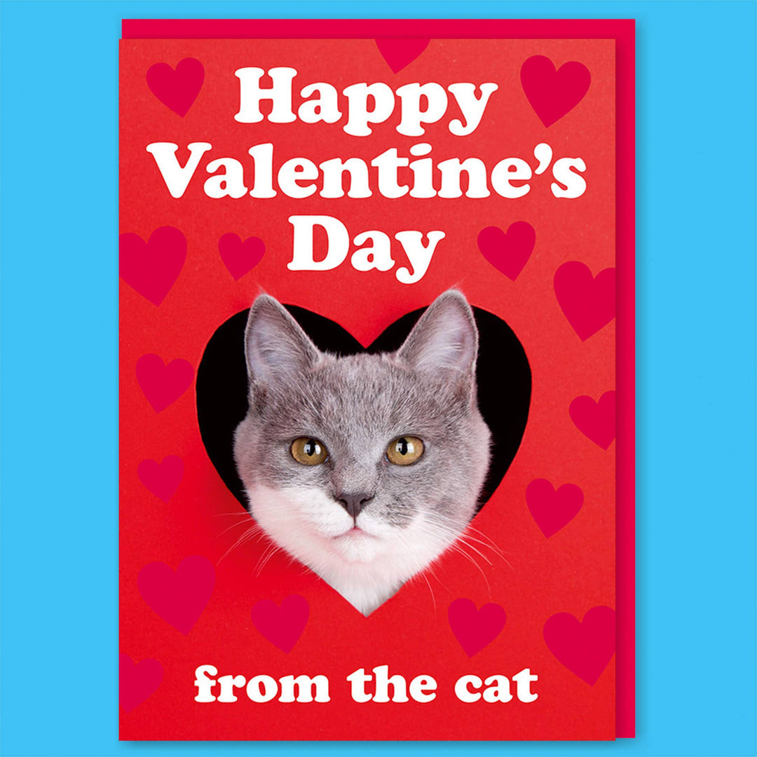 Happy Valentine's Day from the Cat Greeting Card