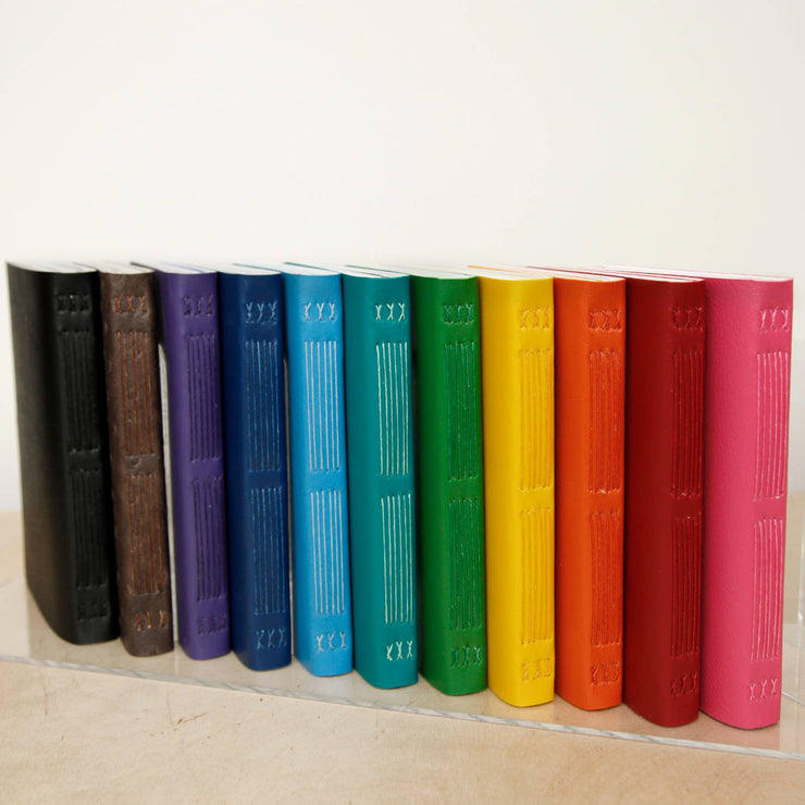 Assorted Paper Notebooks: Large / Contrasting Thread