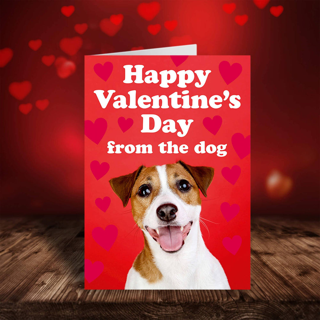 Happy Valentine's Day from the Dog Greeting Card