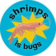 SHRIMPS IS BUGS Truther Funny Water Bottle Laptop Sticker