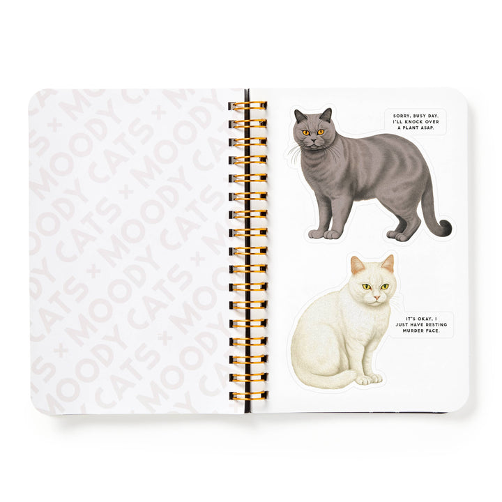 Brass Monkey Moody Cats Sticker Book