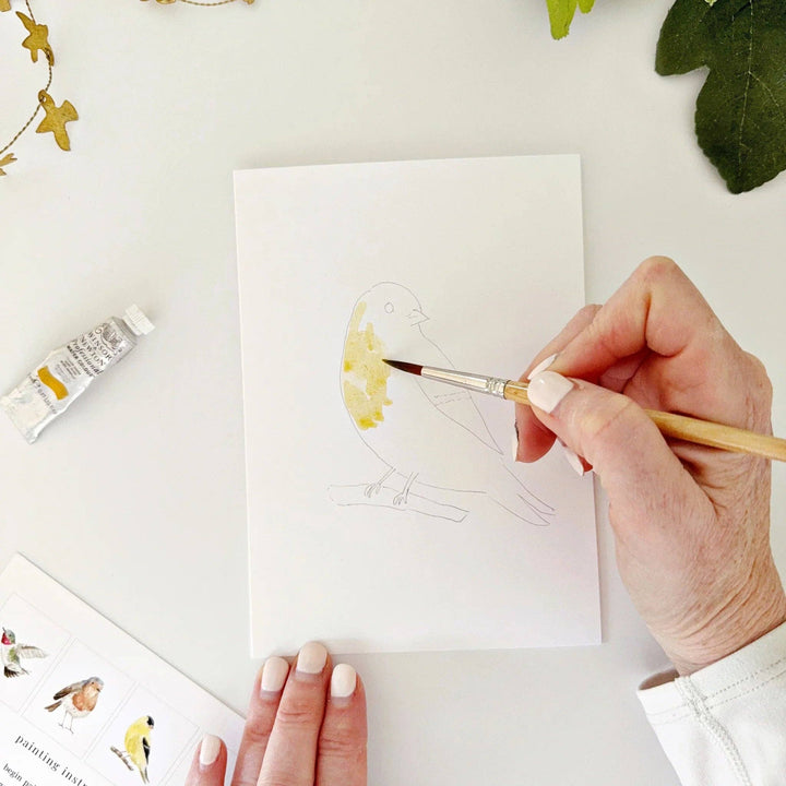 Birds Paintable Notecard Set