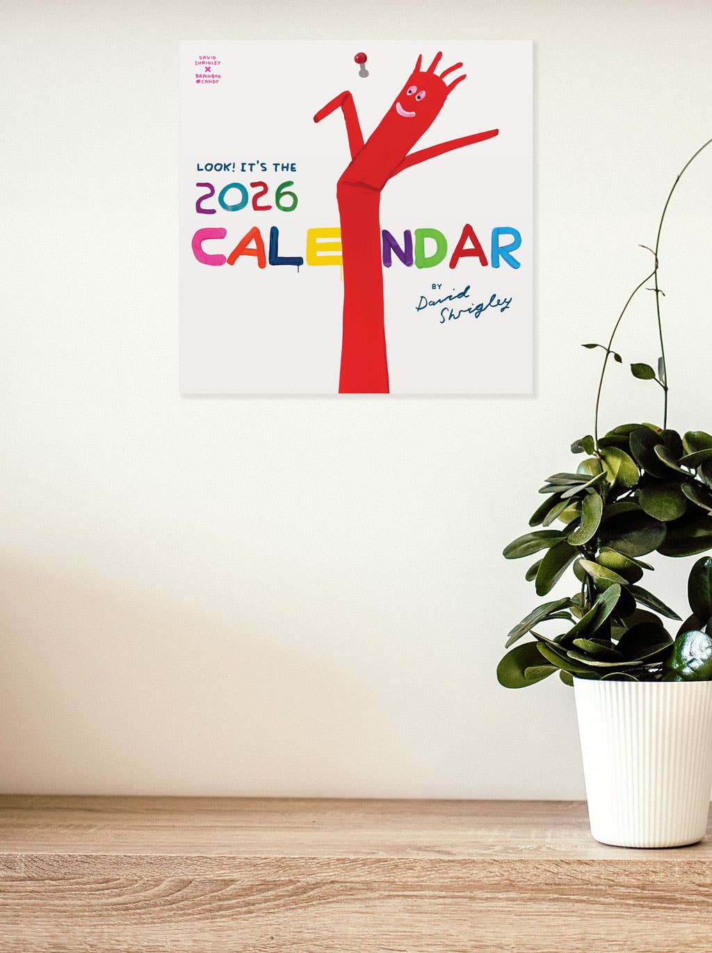 David Shrigley Official and Exclusive 2026 Wall Calendar