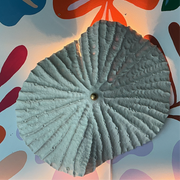 Limpet wall light