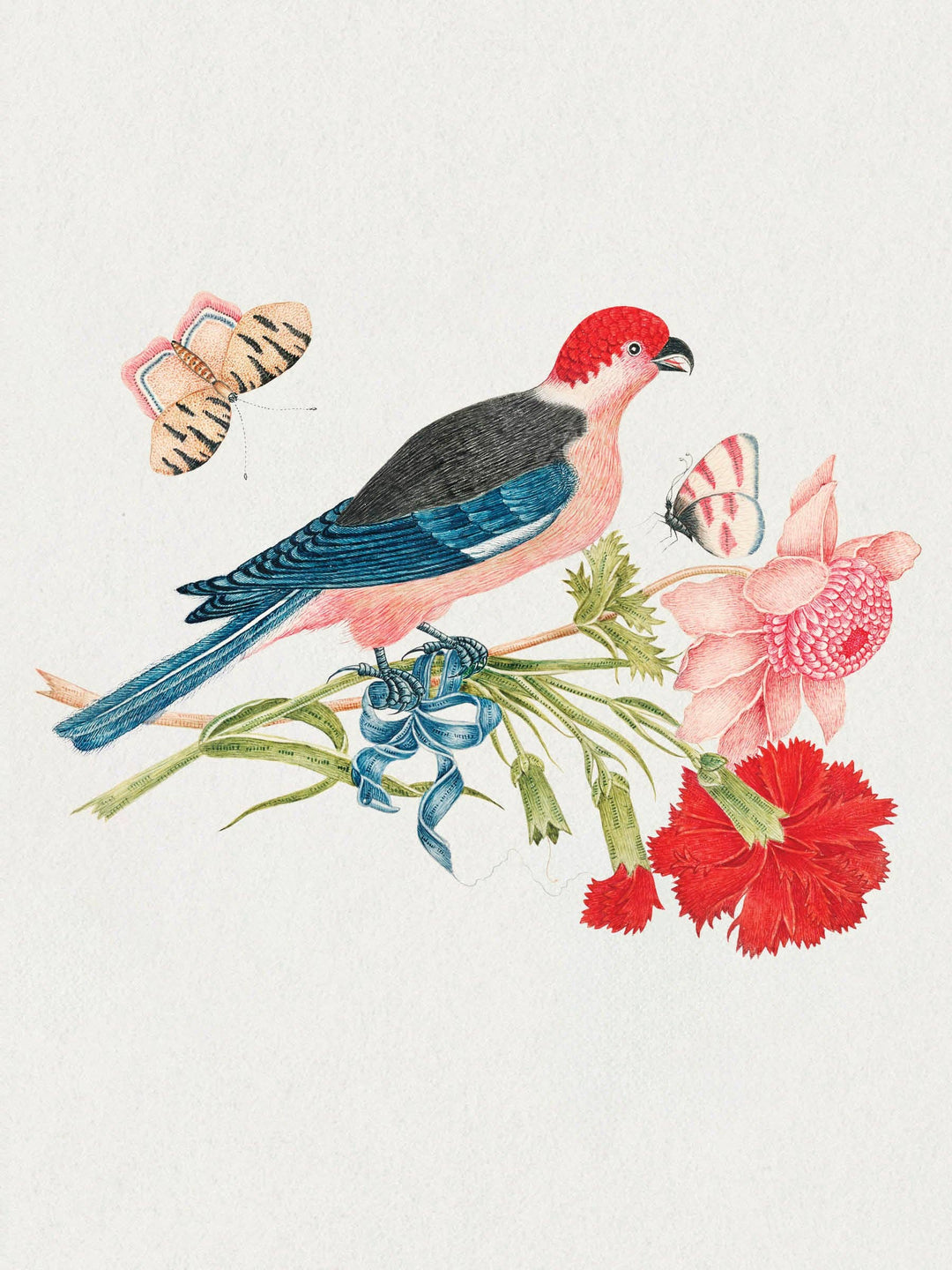 Flowers, Birds & Butterflies Celebrations Boxed Notecards