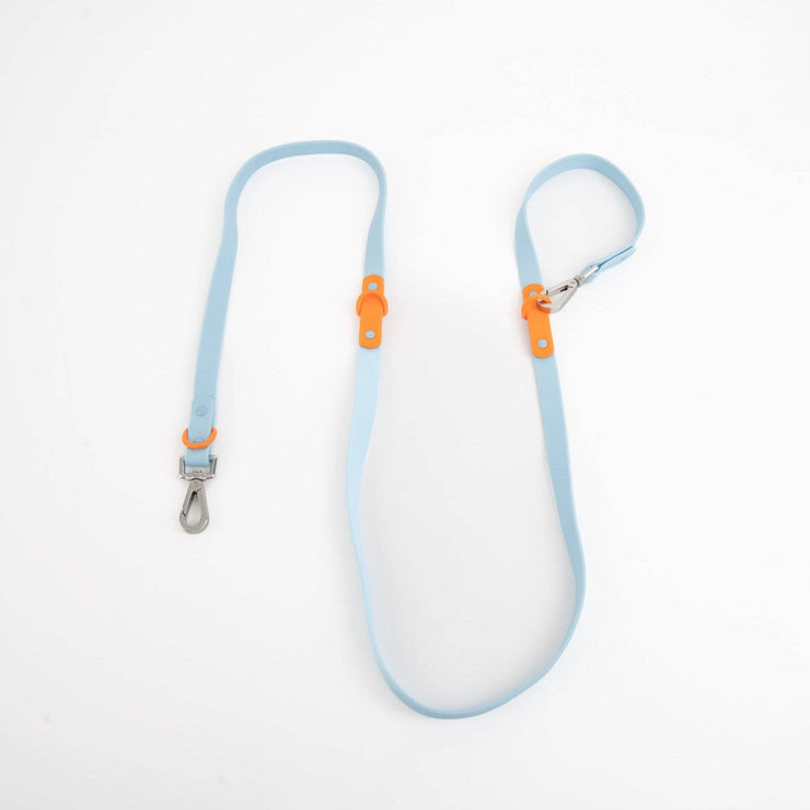 The Fritz Leash: Standard / blue orange