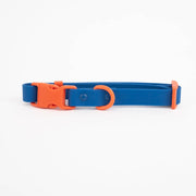 The Fritz Dog Collar : Baby blue orange / Small