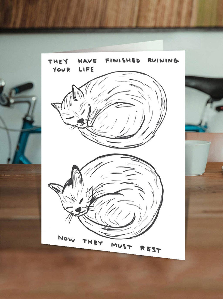 Funny David Shrigley - Ruining Your Life Greetings Card