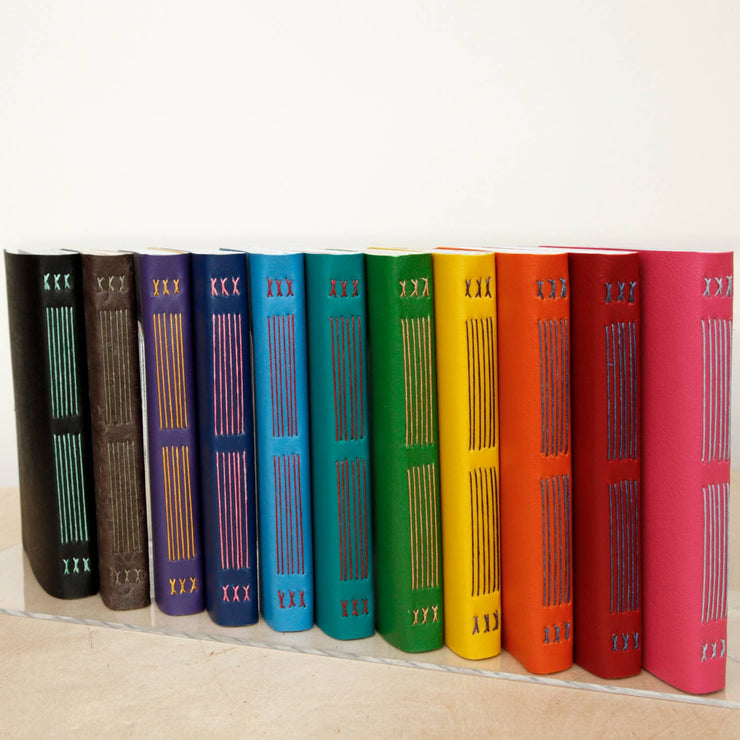 Assorted Paper Notebooks: Large / Contrasting Thread