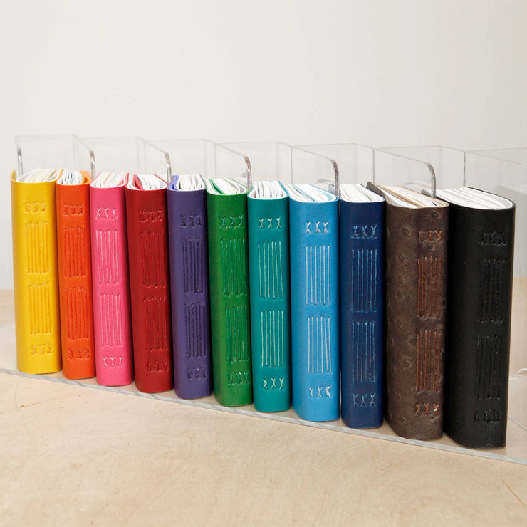 Assorted Paper Notebooks: Large / Contrasting Thread
