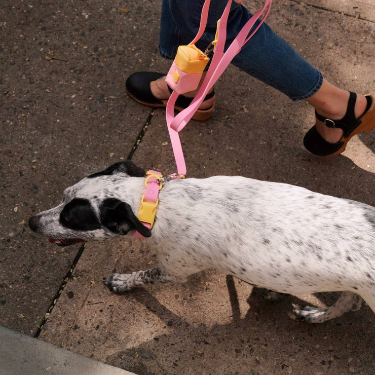 The Fritz Leash: Small / cherry