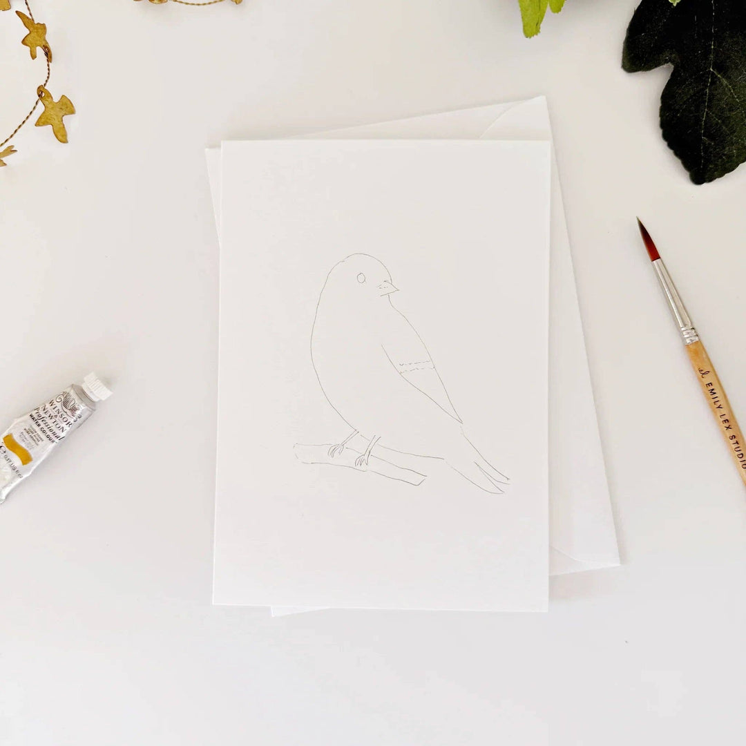 Birds Paintable Notecard Set
