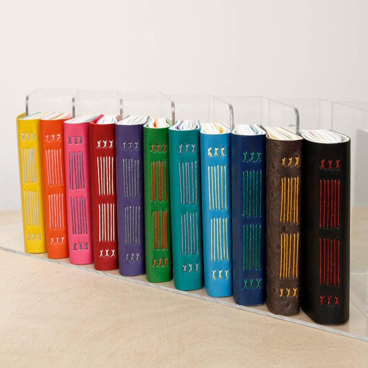 Assorted Paper Notebooks: Large / Contrasting Thread