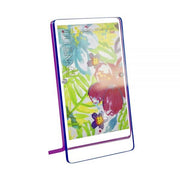 Colorful Magnet Frame 5"x7": White