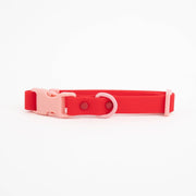 The Fritz Dog Collar : Cherry / Large