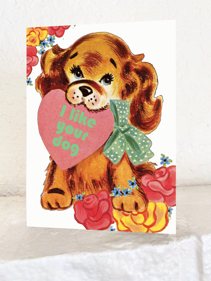 I Like Your Dog Funny Card - Love Valentine Everyday Card