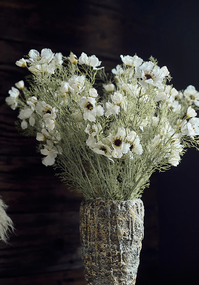 Cosmos Cream Flowers