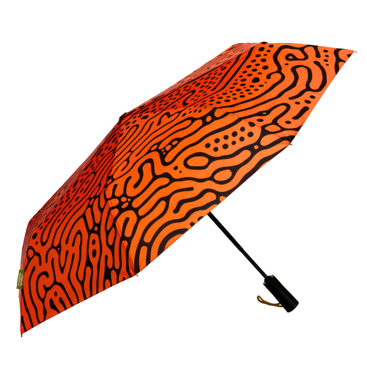 Ferrofluid Eco-Friendly Automatic Daily Umbrella
