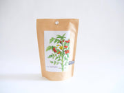 "Get Growing" Mindful Garden in a Bag Kit: Italian Parsley