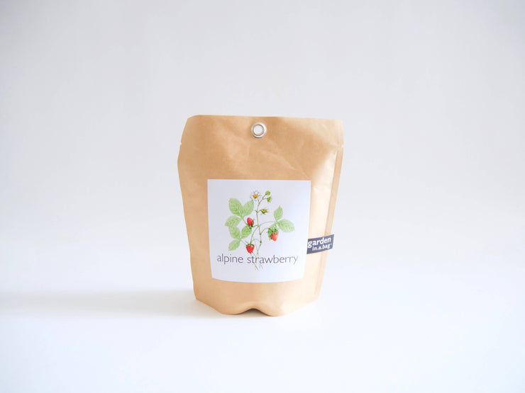 "Get Growing" Mindful Garden in a Bag Kit: Italian Parsley