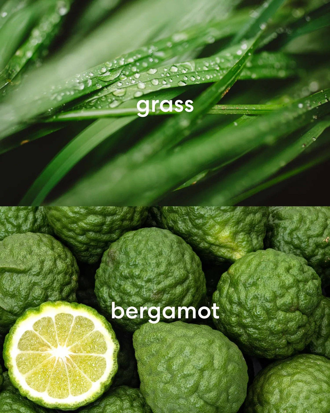 FIFA World Cup '26 - USA