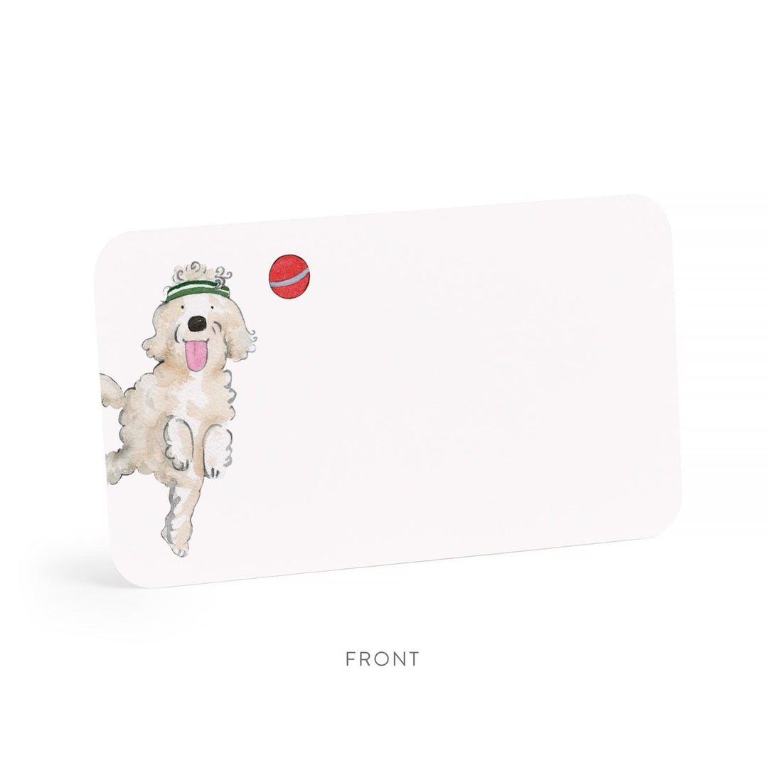 Off Leash Little Notes® NEW 55 Count