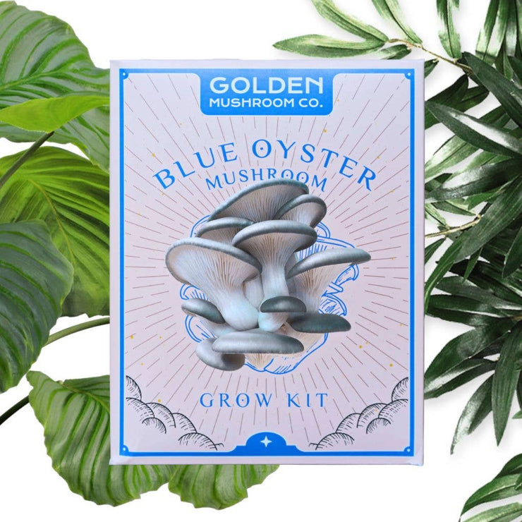 Blue Oyster Mushroom Grow Kit