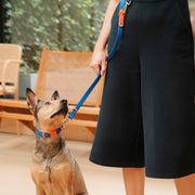 The Fritz Dog Leash | Leash wit Handle | Multi Dog Leash: Orange mango / Small
