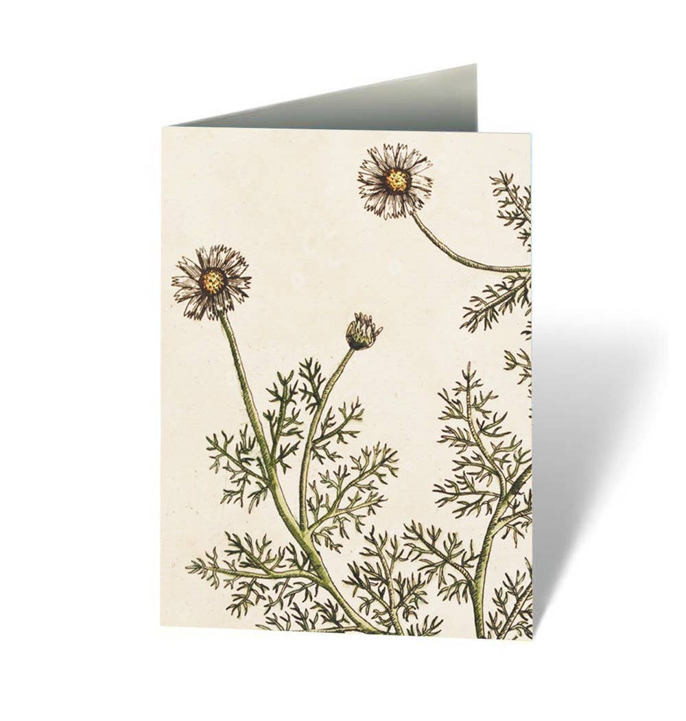 Healing Plants Note Cards