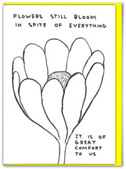 Funny David Shrigley - Flowers Bloom Thinking Of You Card