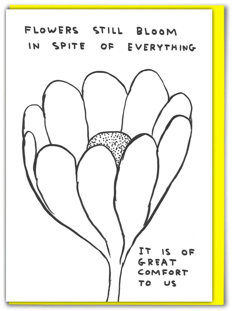 Funny David Shrigley - Flowers Bloom Thinking Of You Card