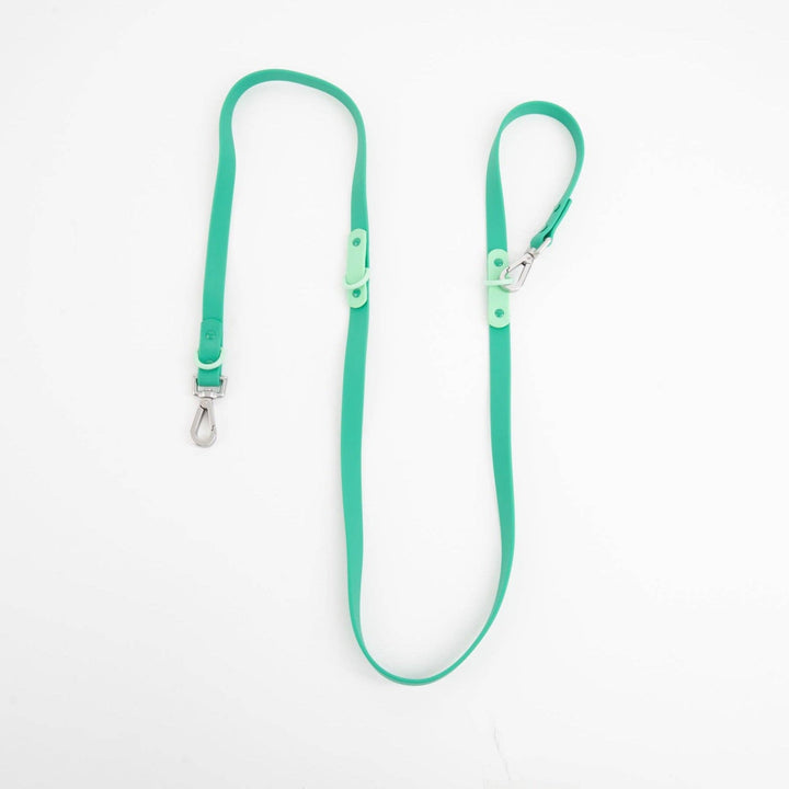 The Fritz Leash: Blue/Orange-Standard